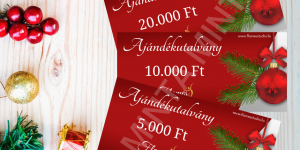 Ajándékutalvány társastánc bachata moderntánc ovis tánc Győr Flames Tánciskolába karácsonyra